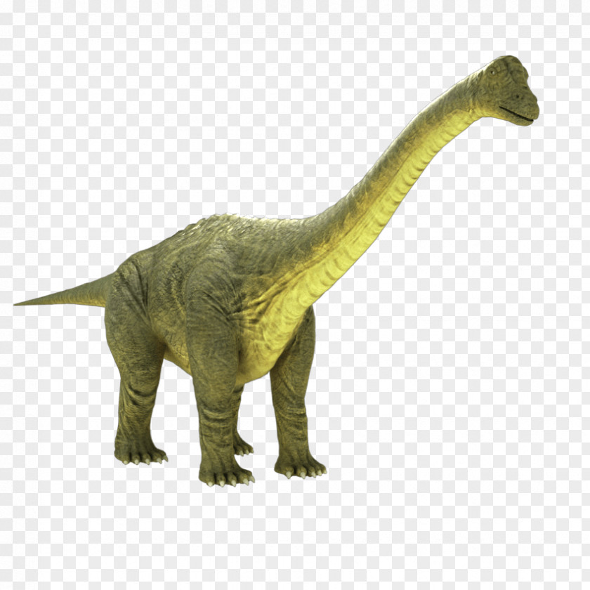 Dinosaur Apatosaurus Brontosaurus Tyrannosaurus Brachiosaurus Jurassic World Evolution PNG