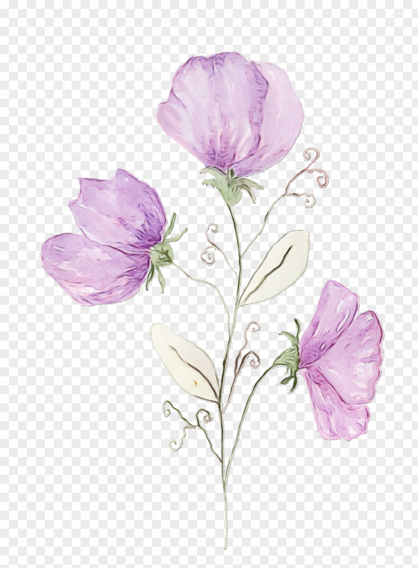 Prickly Rose Wildflower Purple Watercolor Flower PNG