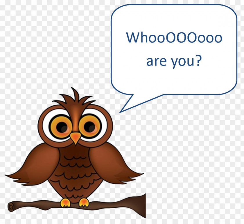 Size Owl Cartoon Drawing Clip Art PNG