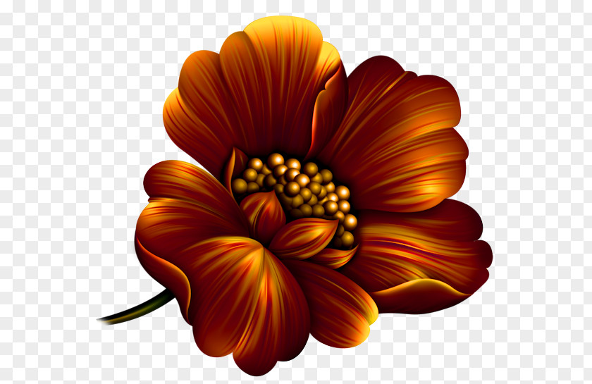 The Divan Of Hafez Fortune-telling Chrysanthemum Le Coffret De Mélusine Computer Program PNG