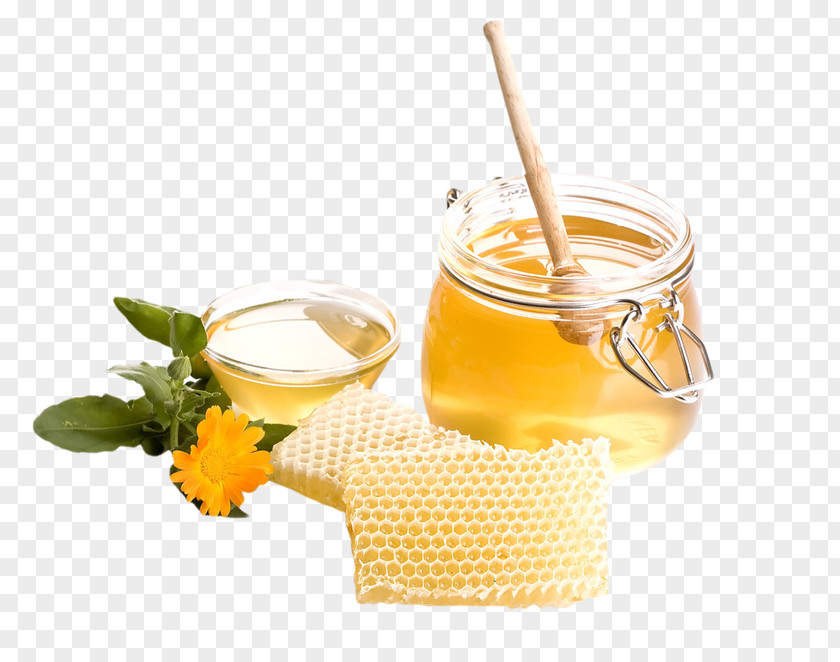 Bees PNG