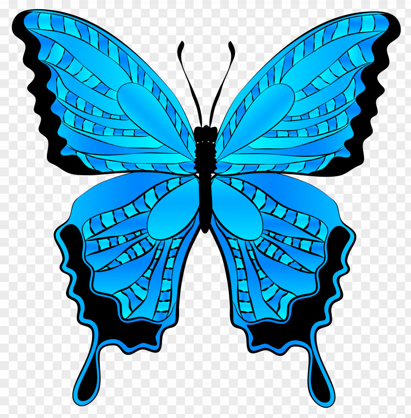 Blue Butterfly Clipart Image Morpho Menelaus Clip Art PNG