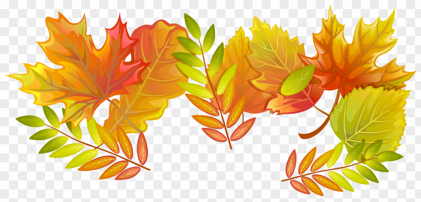 Fall Maple Leaf Paper Autumn PNG
