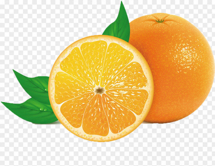 Fresh Lemon Orange Juice Tangerine PNG