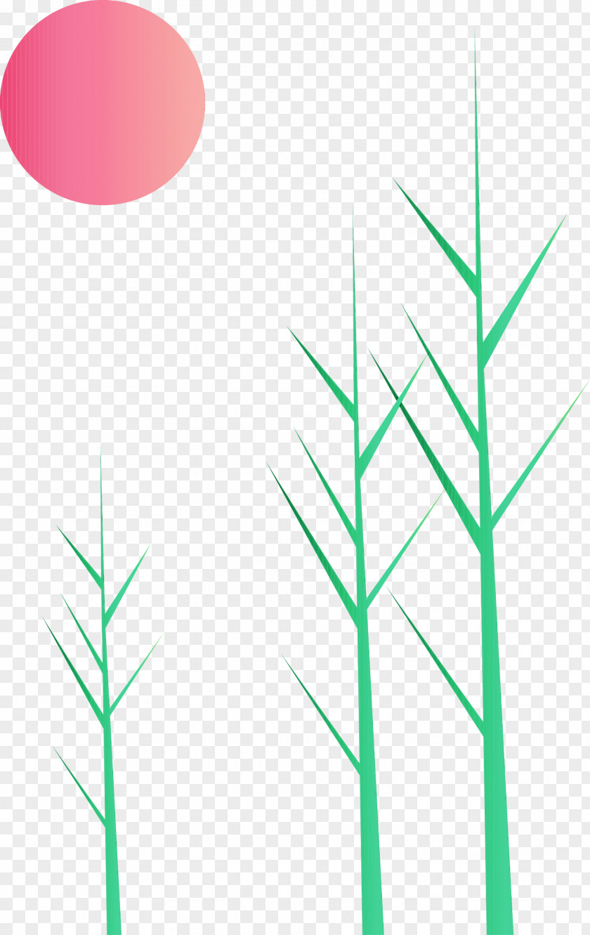 Green Line Leaf Grass Family Plant PNG