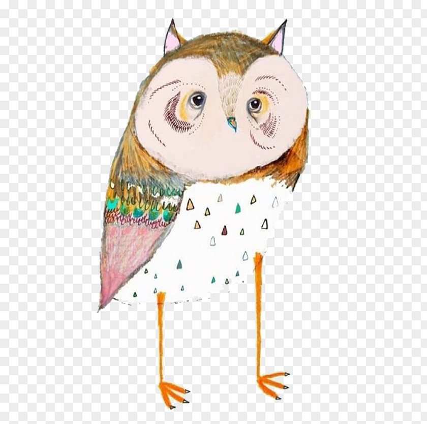 Owl Painting Art Drawing Illustration PNG
