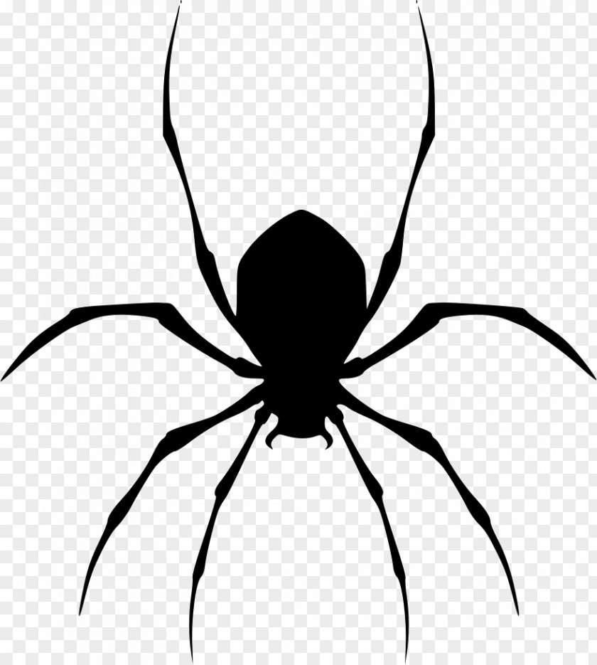 Spider Black House Clip Art PNG
