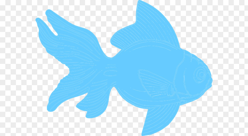 Teal Fish Cliparts Blue Clip Art PNG