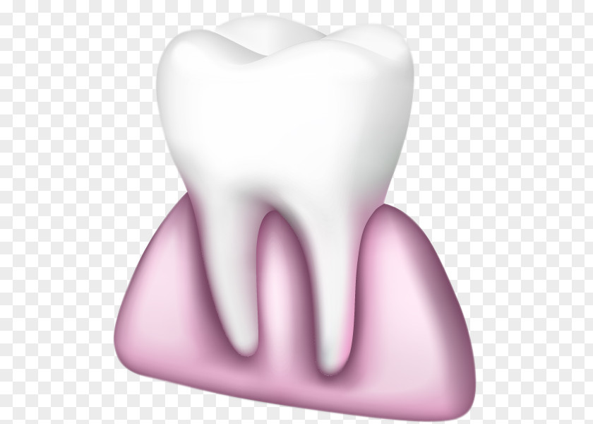 Teeth And Gums Tooth Pathology Chewing Gum PNG
