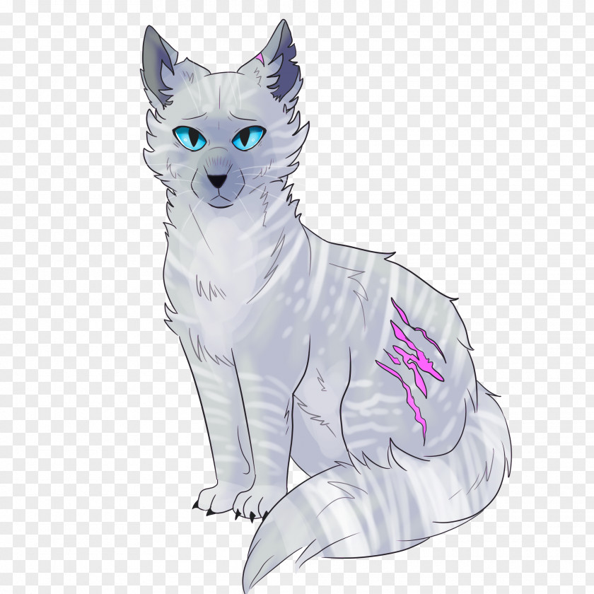 Warrior Cats Jayfeather Whiskers Kitten Cat Dog Drawing PNG