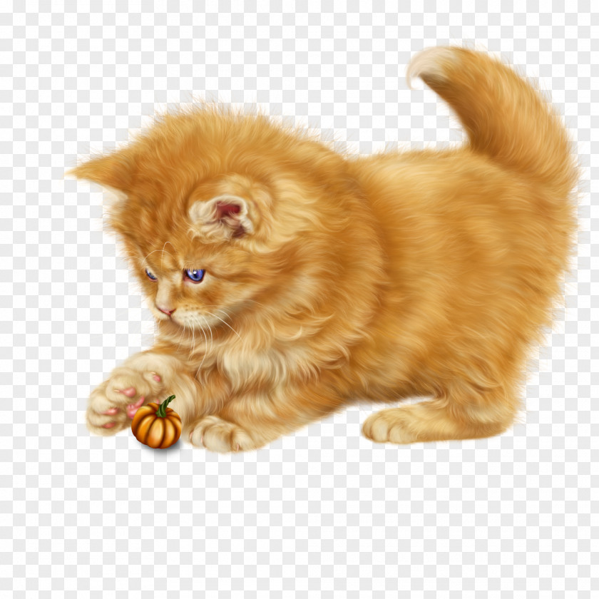 Dog Lying Persian Cat Kitten Kurilian Bobtail Whiskers Domestic Short-haired PNG
