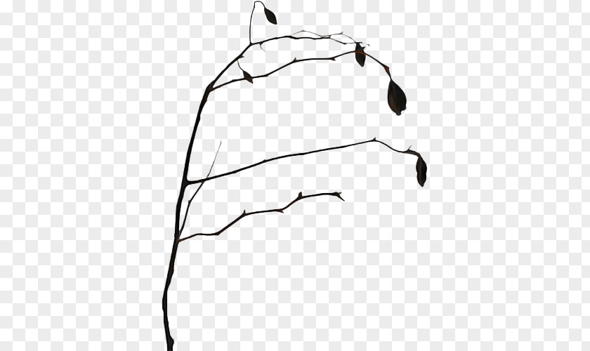 Hand Blackandwhite Twig Design Tree Pattern Wood PNG