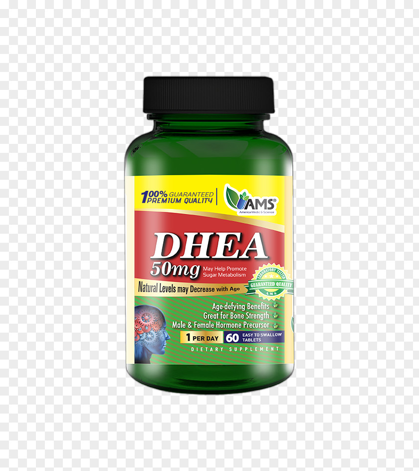 Kidneys Dietary Supplement Dehydroepiandrosterone Biotin Vitamin Acetylcarnitine PNG