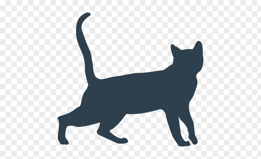 Kitten Black Cat Domestic Short-haired Persian British Shorthair PNG