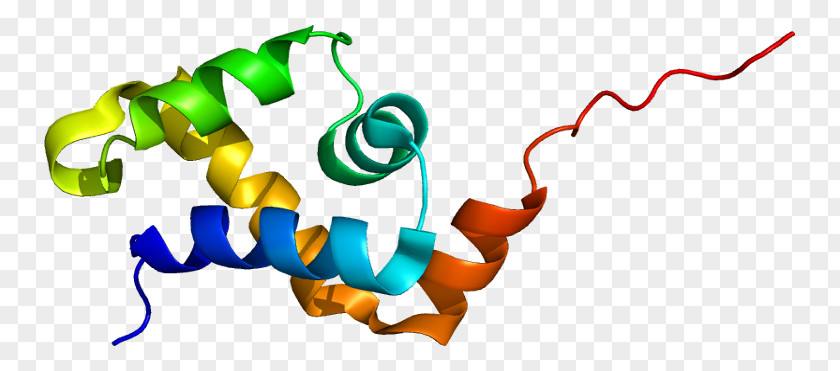 SATB1 Protein SMARCA5 Gene Homeobox PNG