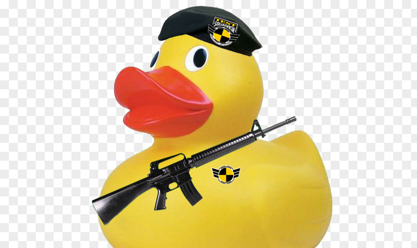 Duck Yellow PNG