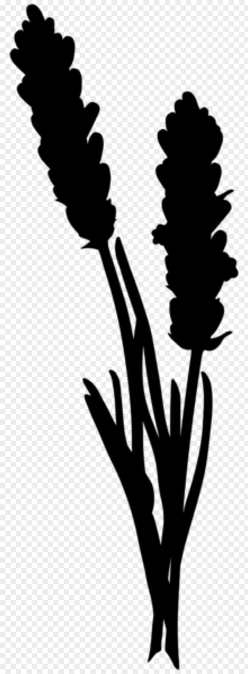 Flower Plant Stem Leaf Clip Art Silhouette PNG