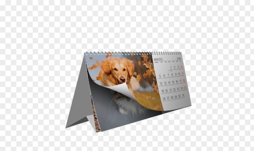 Pion Watercolor Calendar Date Time Month FOTOCALENDAR.PL PNG