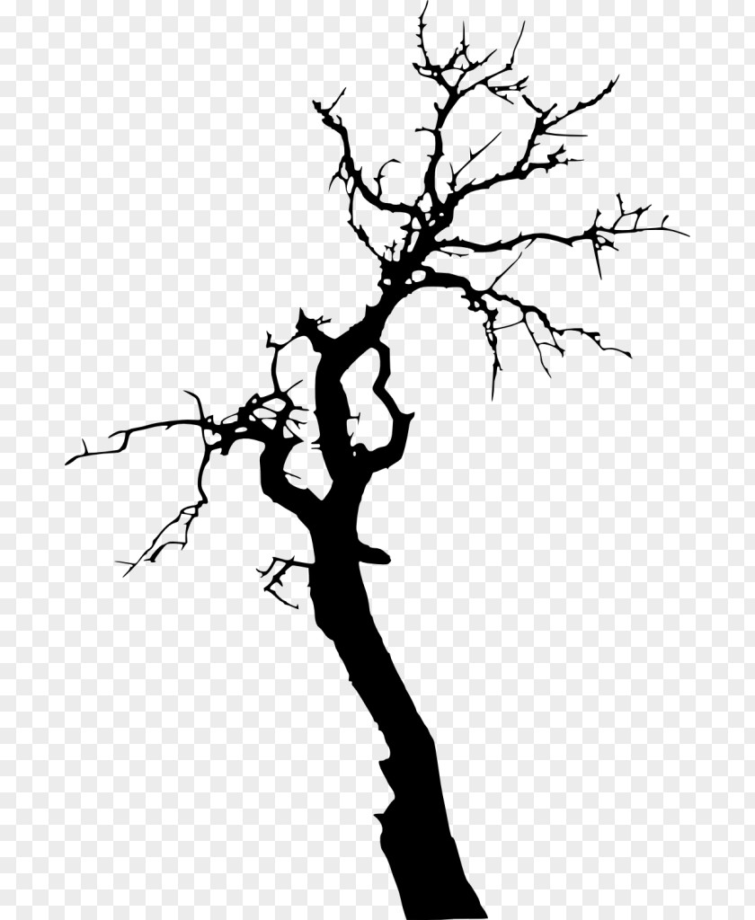 Silhouette Twig Tree PNG