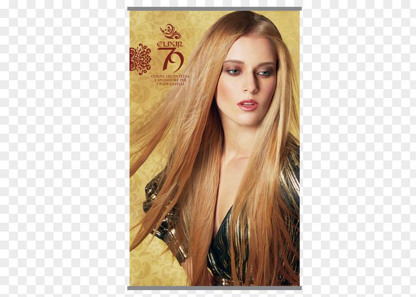 Beauty Salon Exhibition Blond Hair Coloring Brown Feathered PNG