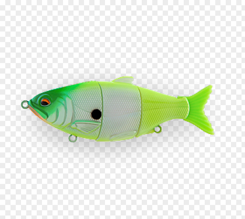 Fishing Bait PNG