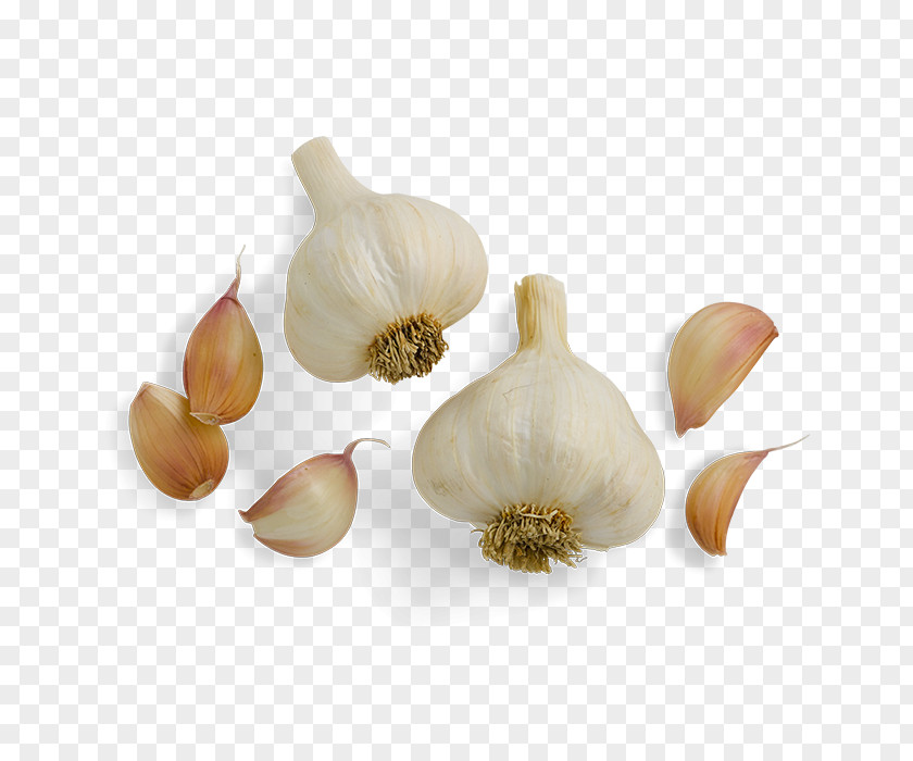 Garlic Shallot Smokehouse Ingredient Food PNG