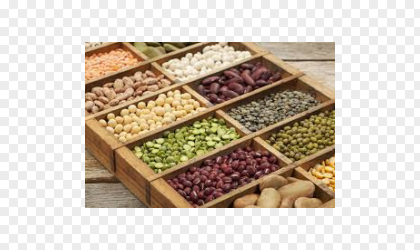 Health Legume Grain Food Bean PNG