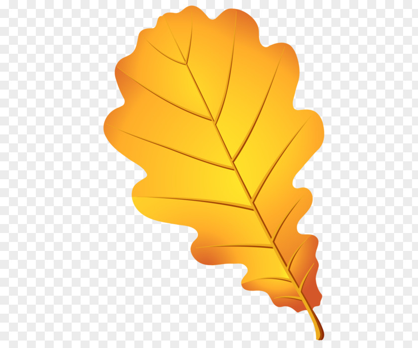 Leaf Clip Art Image Drawing PNG