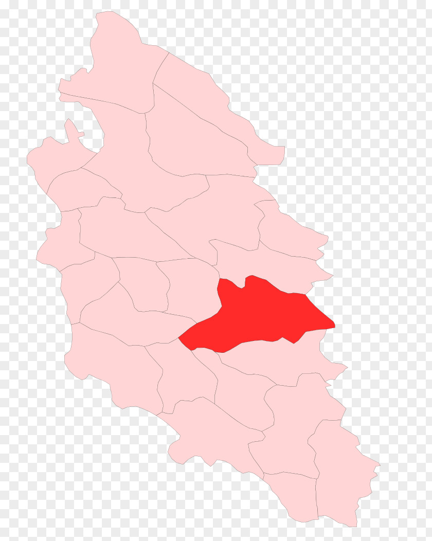 Map Pink M Tuberculosis RTV PNG