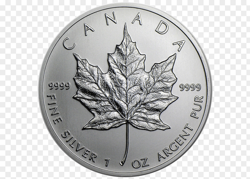 Silver Canadian Maple Leaf Gold Bullion Coin Royal Mint PNG