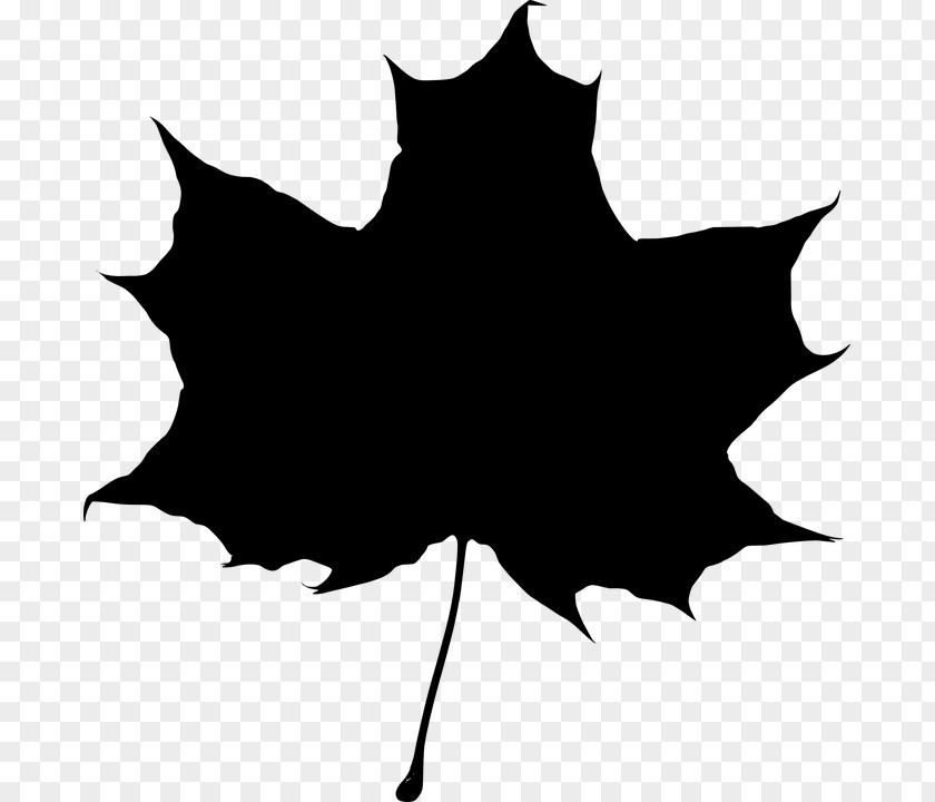 Autumnblackandwhite Maple Leaf Silhouette Clip Art PNG