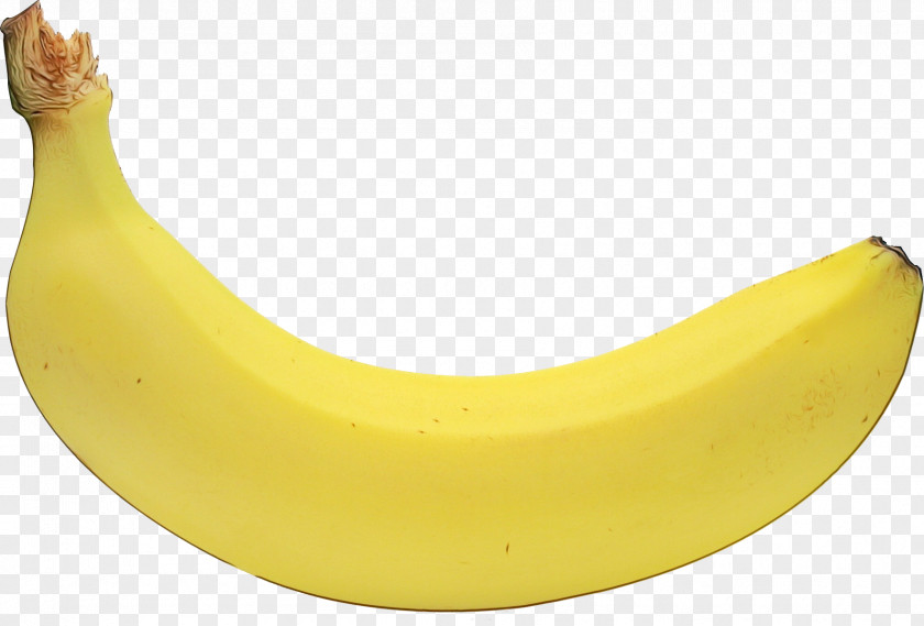 Banana Family Yellow Cooking Plantain Fruit PNG