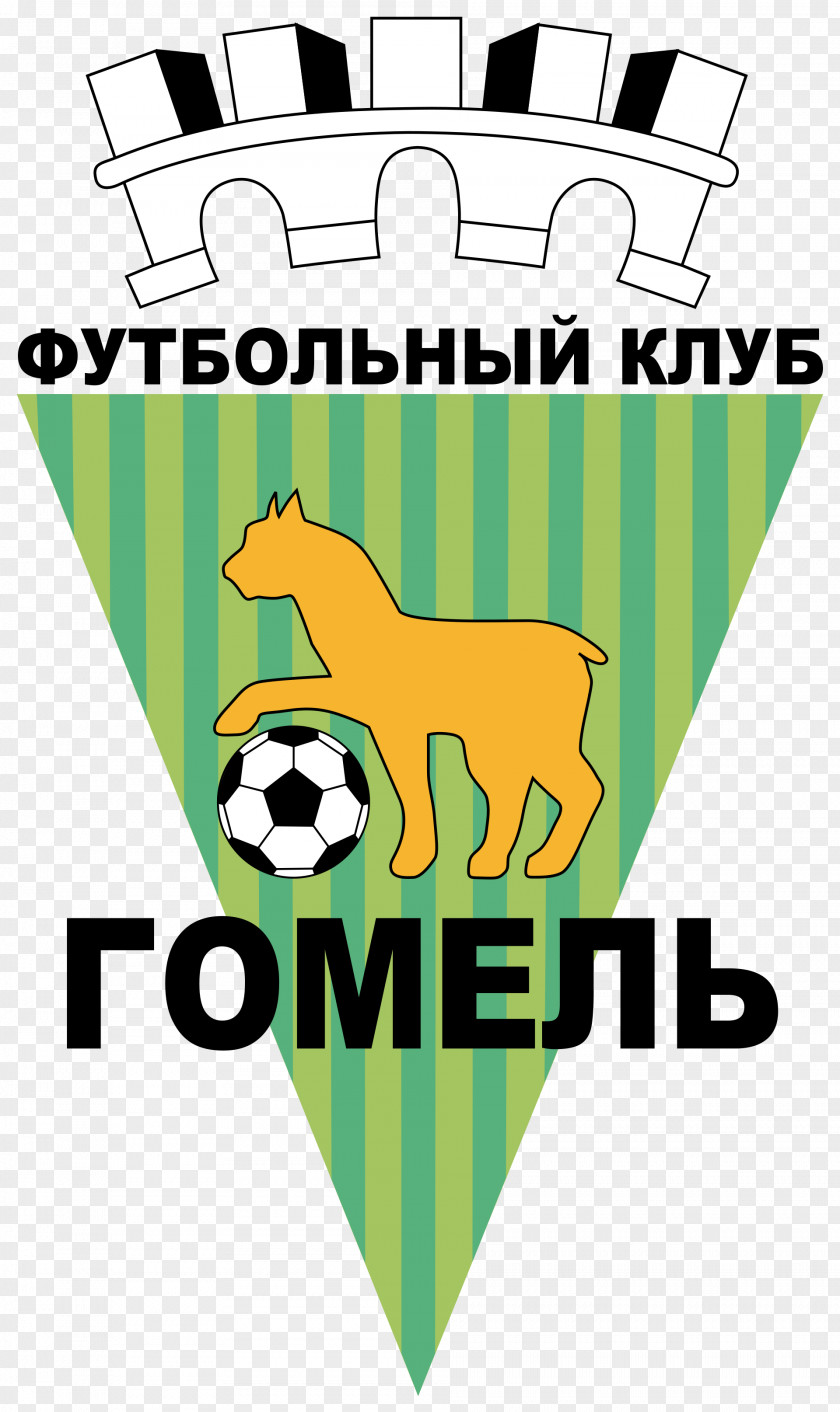 Belarusian Premier League FC Gomel Darida Minsk Raion Neman Grodno PNG