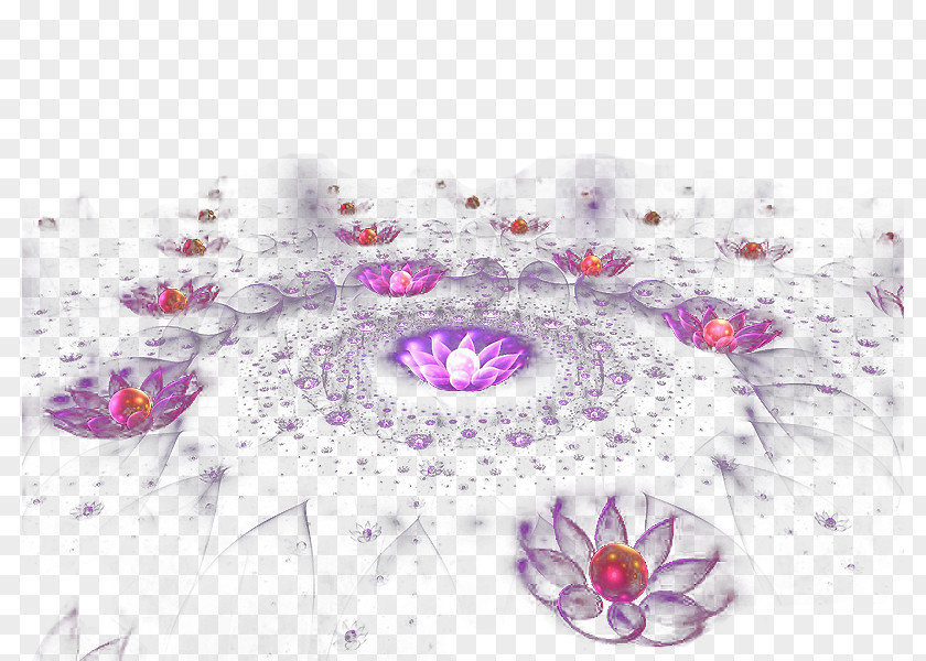 Colorful Flowers Light Bloom PNG
