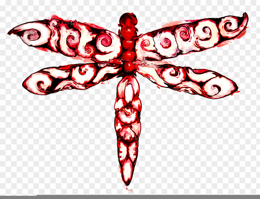 Dragon Fly Insect Butterfly Pollinator Wing Animal PNG