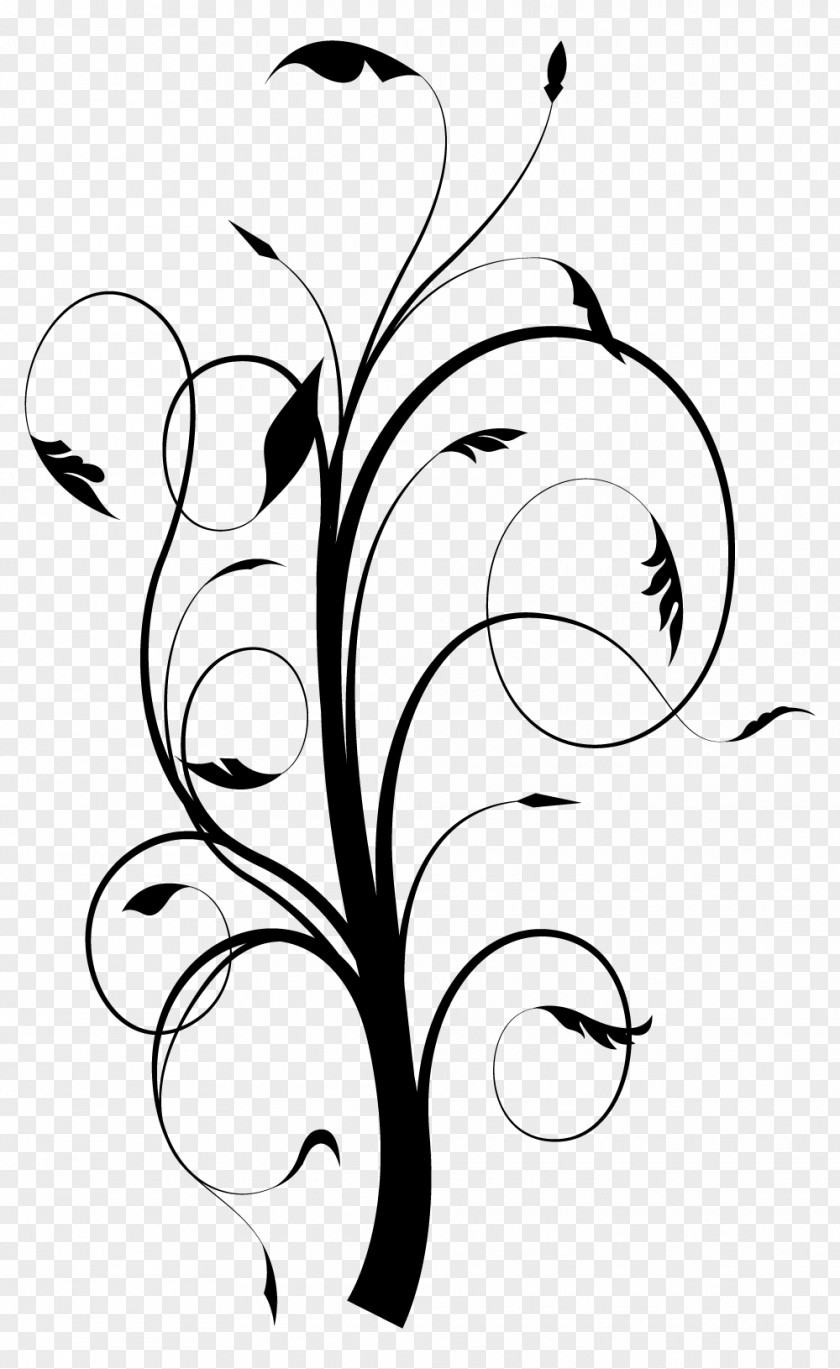 Flourish Flower Black And White Line Art Monochrome Photography PNG