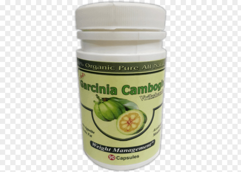 Garcinia Gummi-gutta Diet Weight Loss Alavi Herbs & Nutrition PNG