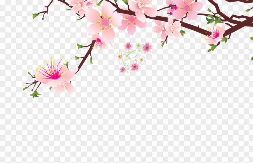 Pink Chinese Peach Blossom Decorative Pattern Petal Flower PNG
