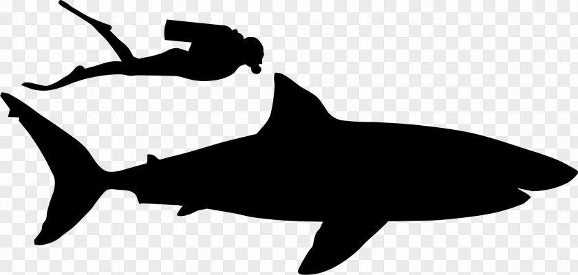 Shark Clip Art Fauna Silhouette Marine Mammal PNG