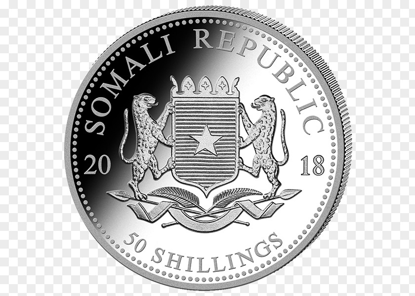 Silver Coin Somalia Bullion PNG