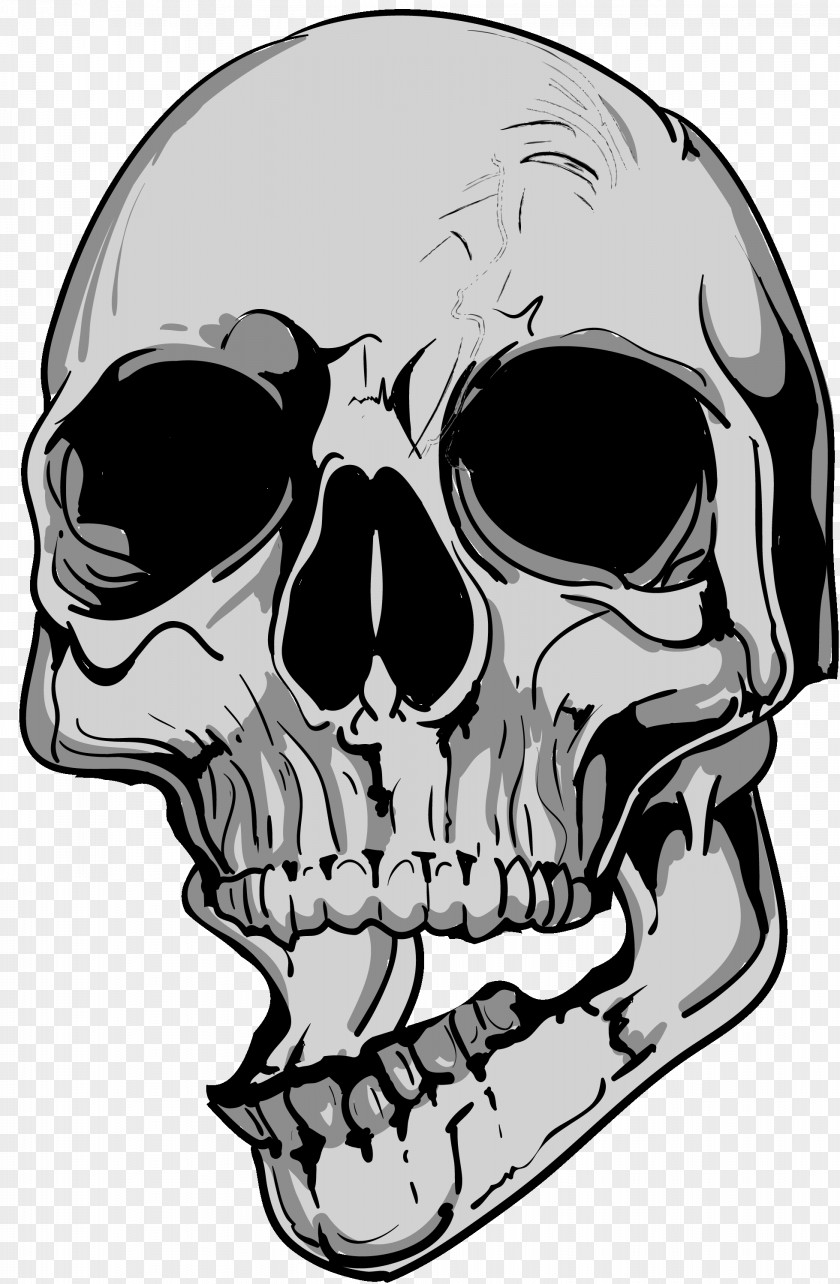 Skull Drawing Human Skeleton Mouth PNG