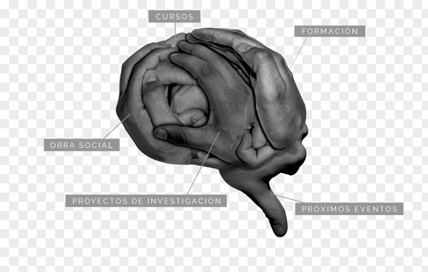 Brain Agy La Fundación Foundation English PNG