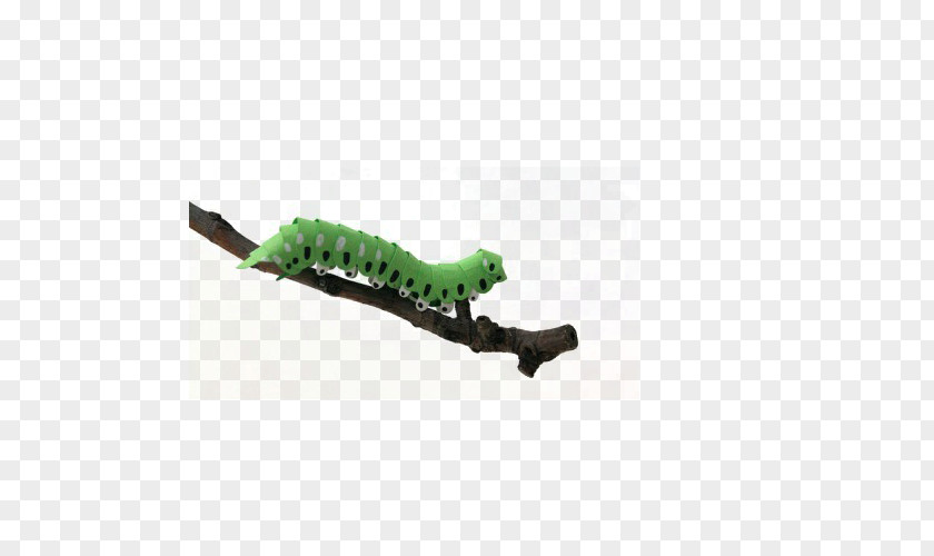 Caterpillar On Branch Paper Craft Bird Inc. Sculpture PNG