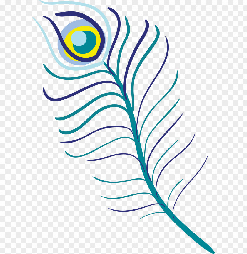 Feather Clip Art Bird Peafowl Illustration PNG