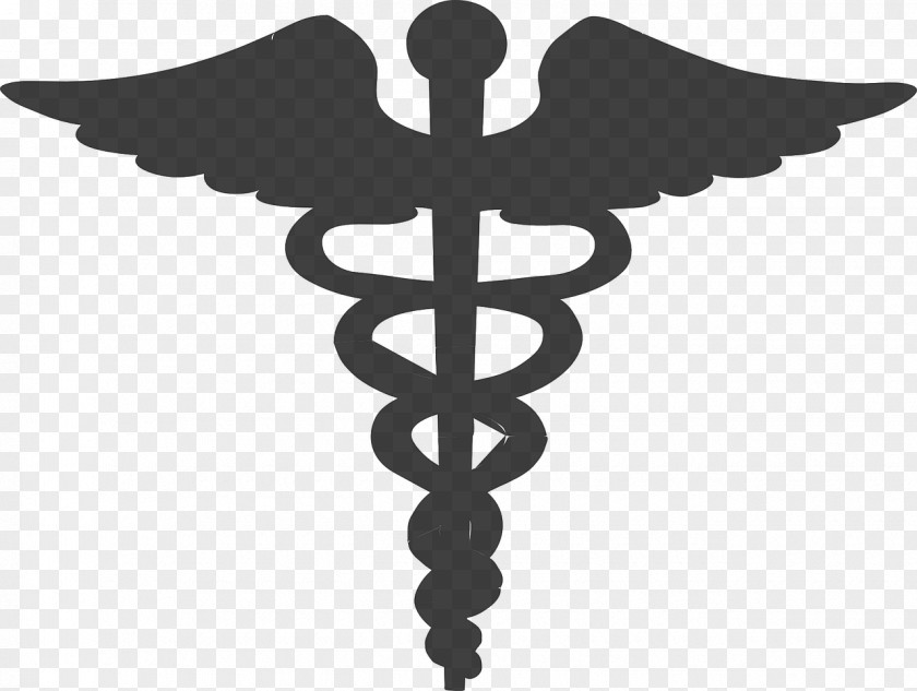 Health Physician Caduceus As A Symbol Of Medicine Care Staff Hermes PNG