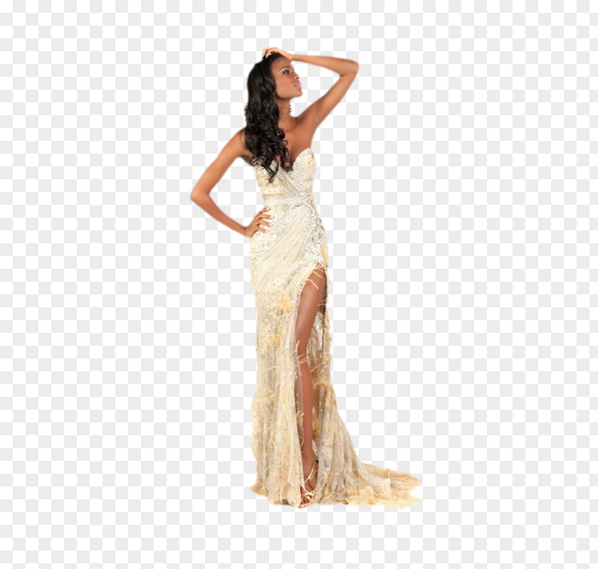 Model Miss Universe 2011 Angola USA 1994 Gown PNG