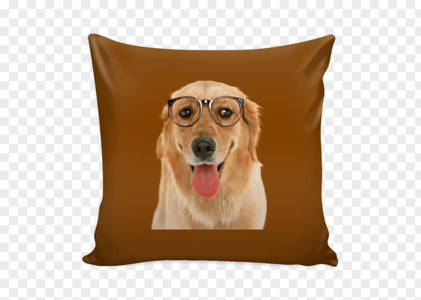 Sailor Moon Super S The Movie Golden Retriever Throw Pillows Chair Bed PNG