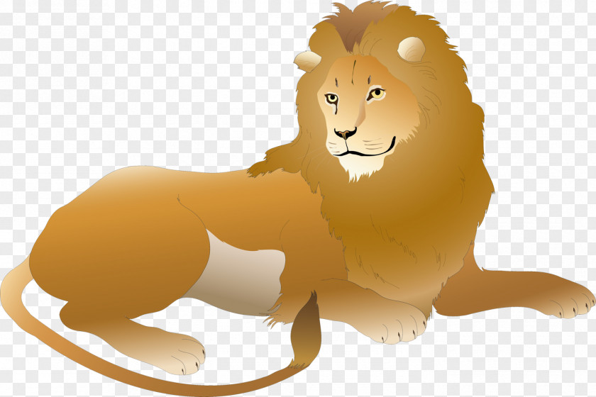 81 Lion Drawing Simba PNG