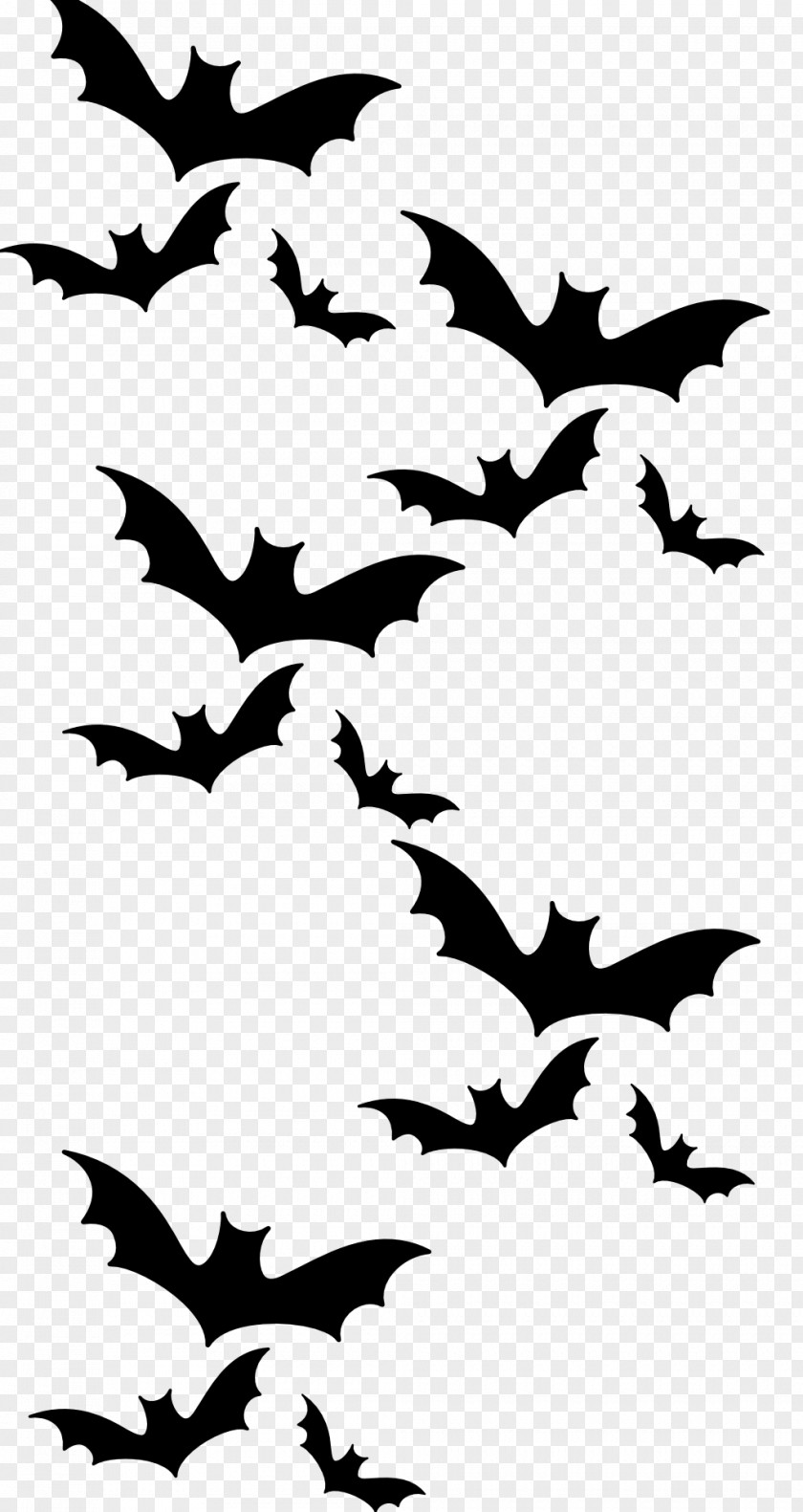 Bat Beak Flora Fauna Clip Art PNG