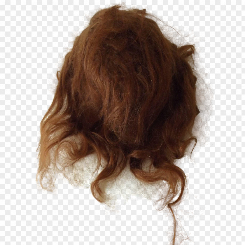 Hair Wig Brown Long PNG